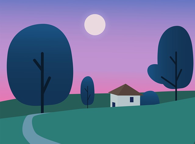 Wat bomen nodig hebben om sterk en veilig te blijven